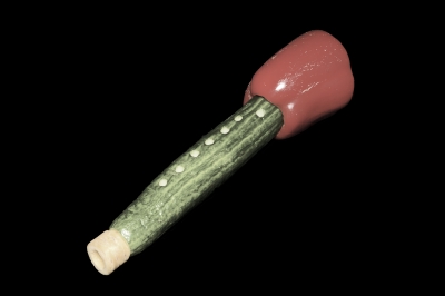 Ophicl�ide_Magasin_musique_R�paration_instruments_vent_Mulhouse_Vienna_Vegetable_Orchestra