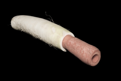 Ophicl�ide_Magasin_musique_R�paration_instruments_vent_Mulhouse_Vienna_Vegetable_Orchestra