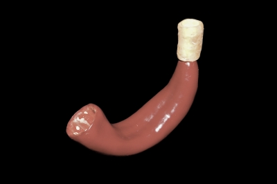 Ophicl�ide_Magasin_musique_R�paration_instruments_vent_Mulhouse_Vienna_Vegetable_Orchestra