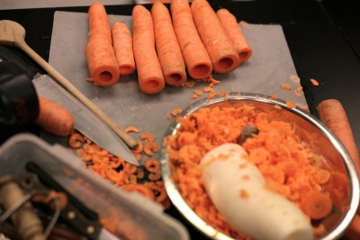 Ophicl�ide_Magasin_musique_R�paration_instruments_vent_Mulhouse_Vienna_Vegetable_Orchestra