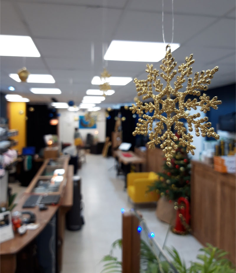 Ophicl�ide_Showroom_Dimanches_de_l'avent_2